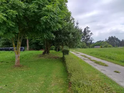 three trees in a yard next to a house at Apartamentos Turísticos La Senra in Castropol