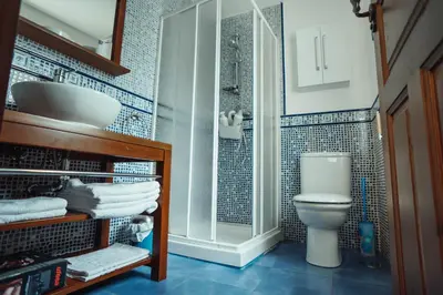 a bathroom with a shower and a toilet and a sink at Apartamentos Rurales Los Galpones in Coaña