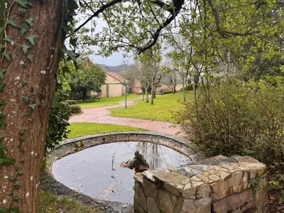 a dog is swimming in a pond in a garden at Casa Rural A Cobacha in Paderne