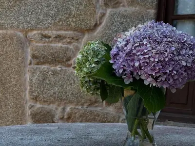 a vase filled with purple flowers in front of a brick wall at Casa Rural A Cobacha in Paderne