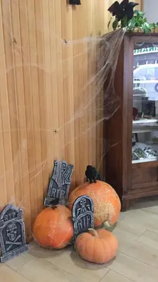 a pile of pumpkins with a black bird sitting on top at Hotel Celanova in Celanova