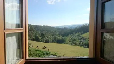 a window with a view of a green field at Casa Carballeira in Villarfernando
