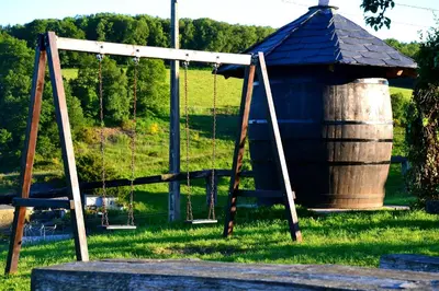 a swing and a barrel in the grass at Apartamentos Rurales RON in Ron