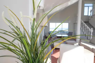 a plant in a living room with a staircase at Apartagal- Casa Playa, Foz in Foz