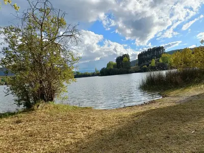 a body of water with a tree next to it at Casa do Eiró in Lago de Carucedo