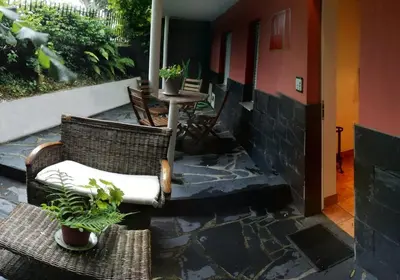 a patio with two chairs and a table with potted plants at Apartamentos Los Balcones in Tineo