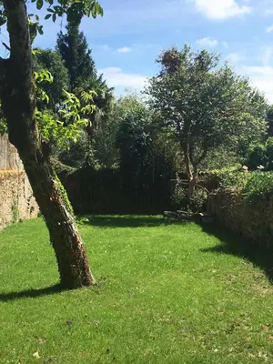 a yard with a tree in the grass at Pensión O Xardin de Julia in Santiago de Compostela