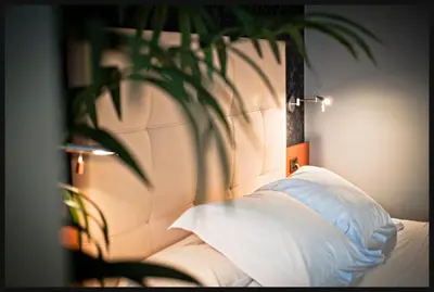 a bed with a white headboard and a plant at Coto Real in Rábade
