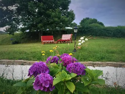 a bouquet of purple flowers in front of a bench at Os Tres Teixos in San Acisclo