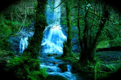 a waterfall in the middle of a forest with trees at Os Tres Teixos in San Acisclo