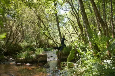a person is standing on a rock in a river at O Muiño de Pena in O Pino