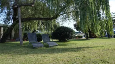 two chairs sitting under a tree in a park at Hotel Montero in Mondoñedo