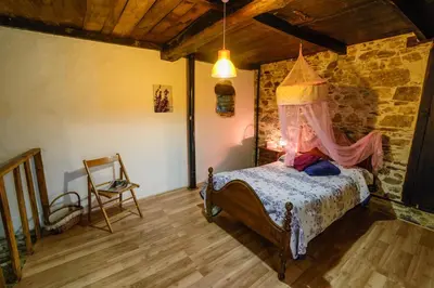 a bedroom with a bed with a canopy at La Casa Antollosdocesar in Baralla