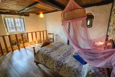 a bedroom with a bed with a mosquito net at La Casa Antollosdocesar in Baralla