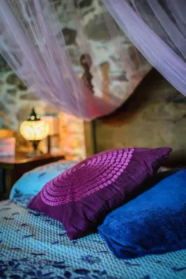 a bed with purple and blue pillows and a canopy at La Casa Antollosdocesar in Baralla