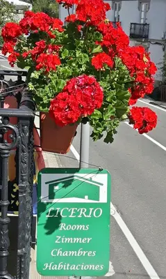 a sign in front of a bunch of red flowers at Casa Licerio in Samos