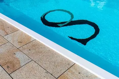 a black snake swimming in a swimming pool at Hotel Santa Cruz in Montaos