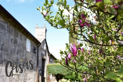 a tree with pink flowers in front of a building at As Casas Ribeira Sacra in Chantada