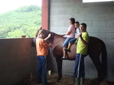 a group of children sitting on the side of a horse at Casa do Xastre in Baralla