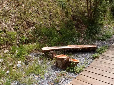 a wooden bench sitting next to a wooden walkway at Albergue Casa del Pescador in Ambasmestas