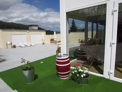 a patio with two potted plants on the ground at El Albergue del Montero in Mondoñedo