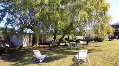 a group of chairs sitting in the grass under a tree at El Albergue del Montero in Mondoñedo