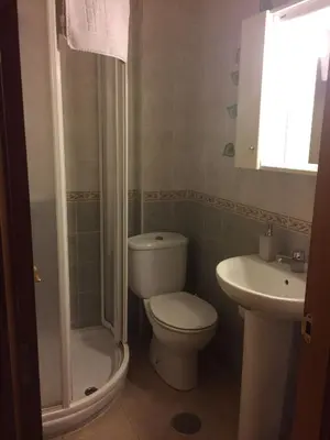 a bathroom with a toilet and a shower and a sink at Casa Morrosco in Molinaseca