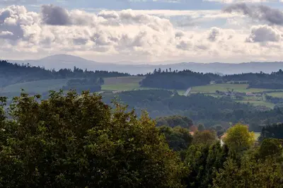 a view of a valley with trees and mountains at Albergue Pensión Cima do Lugar in Arzúa