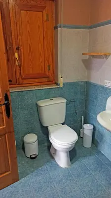 a bathroom with a white toilet and a sink at Hotel Rural La Casa de Irene in Lubián