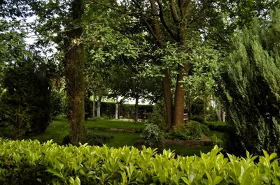 a garden with trees and bushes in the grass at Pazo de Monterrei in Ourense