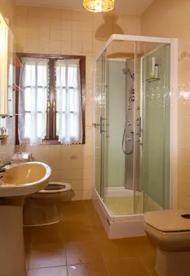 a bathroom with a shower and a sink and a toilet at Casa da Curuxeira in Santiago de Compostela