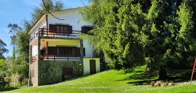 a white house with a tree next to it at Casa da Curuxeira in Santiago de Compostela