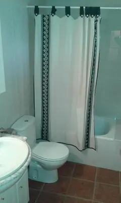 a bathroom with a toilet and a shower curtain at Apartamentos Turísticos Casa dos Pulidos in Olás de Villariño