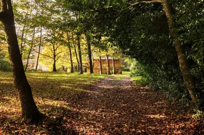 a path in a park with trees and leaves on the ground at Casa Lourán in Monfero