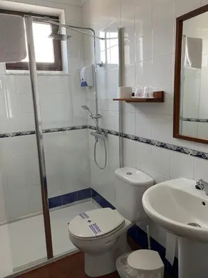 a bathroom with a toilet and a shower and a sink at Convento de Foncebadon in Foncebadón