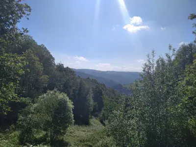 a view of a valley with trees and mountains at Apartamento La Corrada in Santa Eulalia de Oscos