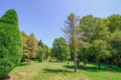 a park with trees and benches in a field at Apartamento La Corrada in Santa Eulalia de Oscos