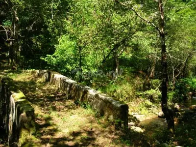 an old stone wall in the middle of a forest at Apartamento La Corrada in Santa Eulalia de Oscos