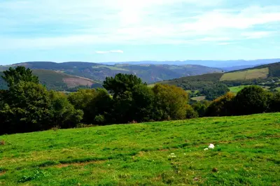 a grassy hill with a view of a valley at Apartamento La Corrada in Santa Eulalia de Oscos