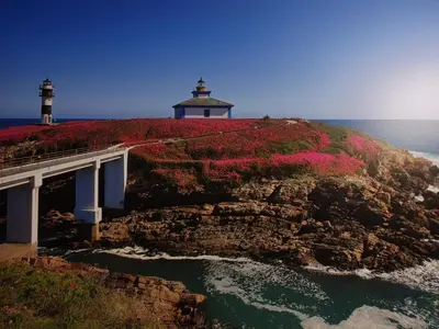 a lighthouse on top of a cliff with flowers at Hostal Ponte Dos Santos in Ribadeo