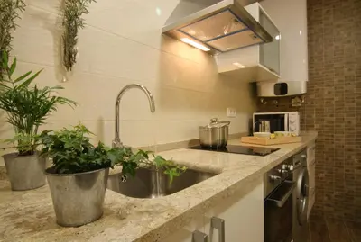 a kitchen with a sink and two potted plants at Casa Do Medio in Santiago de Compostela