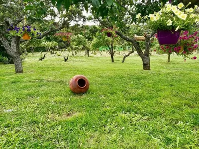 a vase sitting on the grass in a field at Casa Rural Elias in Molinaseca