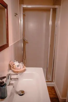 a bathroom with a shower and a white sink at Hostal Camponaraya in Camponaraya