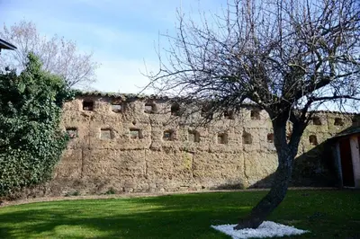 a tree in a yard next to a brick wall at Casa Rural Pico del Lugar in Villar de los Barrios