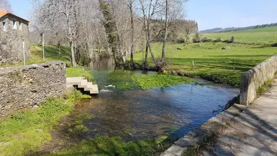 a small river with a bridge in a field at Pensión Ribadiso in Arzúa