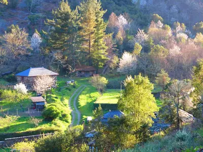 a view of a garden with trees and a path at Casa Rural Chao de Castro in Ríodeporcos