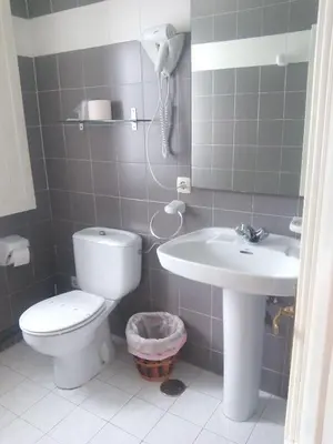a bathroom with a toilet and a sink at Hotel Las Grandas in Vistalegre