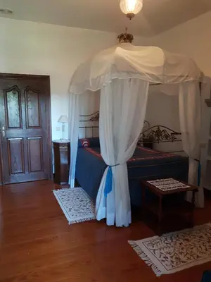a bedroom with a canopy bed and a wooden floor at Pazo Vilabade in Vilabade