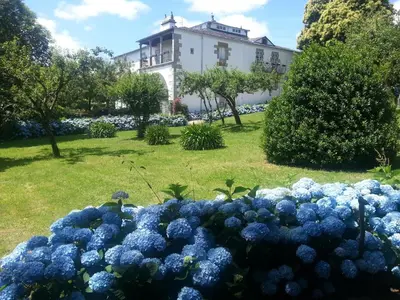a pile of blue flowers in front of a building at Pazo Vilabade in Vilabade