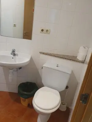 a bathroom with a white toilet and a sink at A Concha in Lavacolla